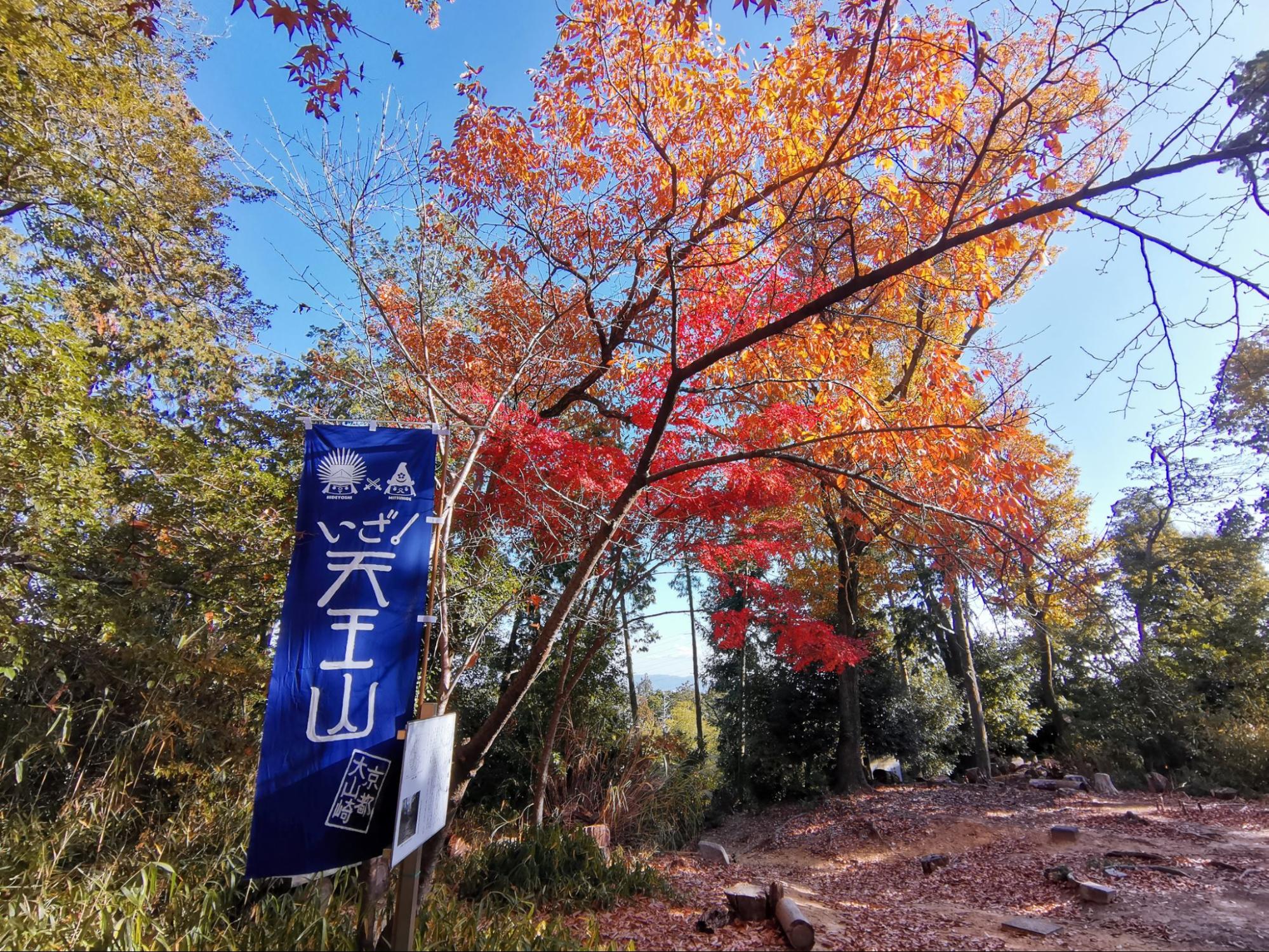 (2ページ目) 駅から日帰り「天王山」ハイキング! 絶景の“ラスト紅葉”「山崎聖天」&歴史ファン必見「天下分け目」の地「実踏レポ」|登山 ...